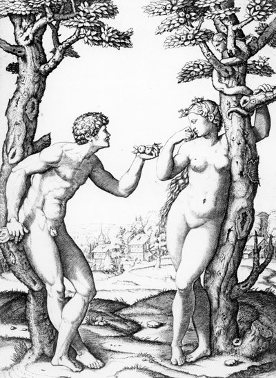Adán y Eva, grabado por Marcantonio, c.1520 de Raffaello Sanzio Raphael